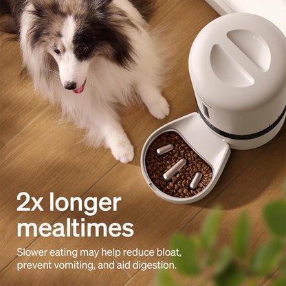 PETLIBRO Automatic Cat Feeder, 5G WiFi Automatic Dog Food Dispenser with Freshness Preservation, 5L Timed Pet Feeder with Low Food Sensor, Up to 10 Meals Per Day, Granary Black