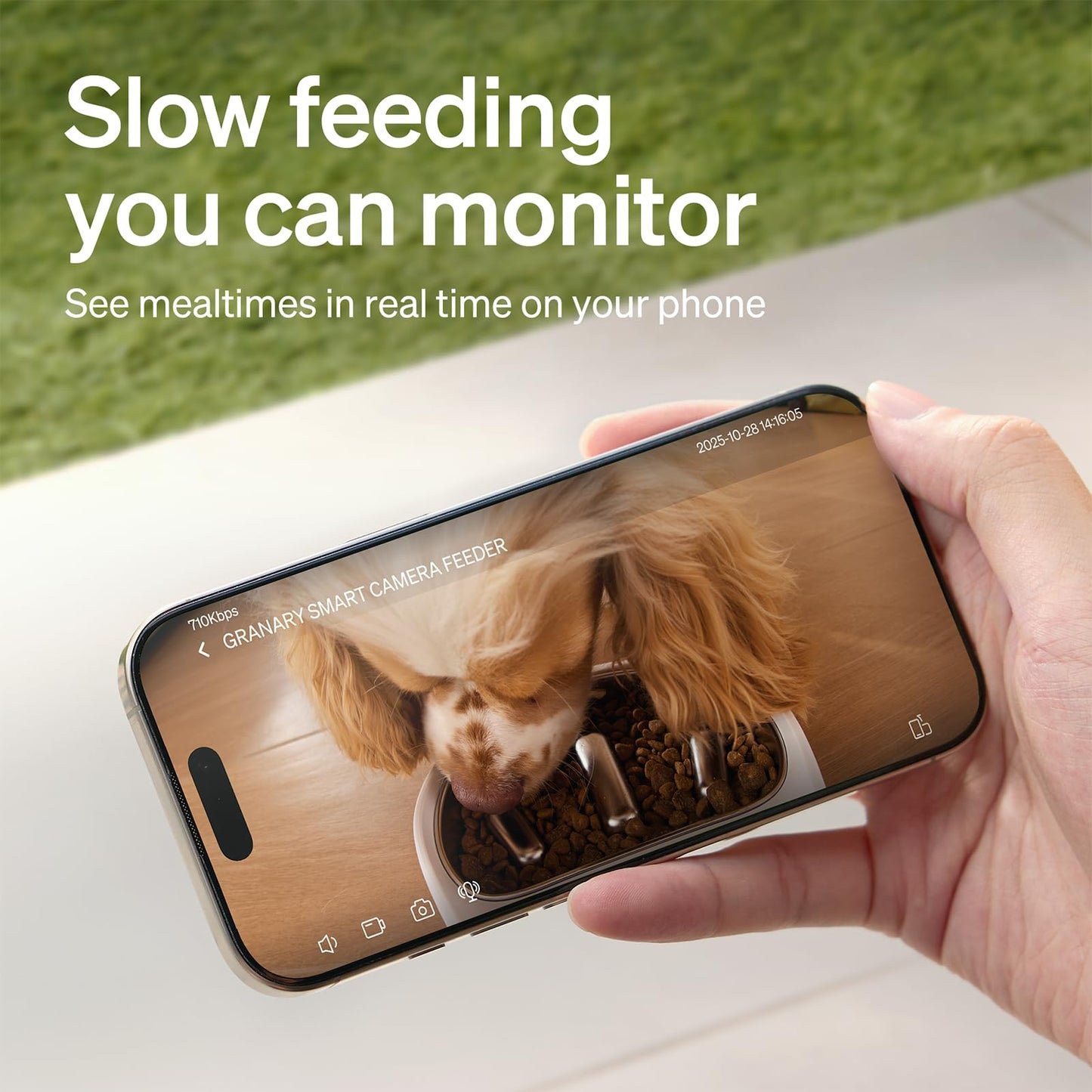 PETLIBRO Automatic Cat Feeder, 5G WiFi Automatic Dog Food Dispenser with Freshness Preservation, 5L Timed Pet Feeder with Low Food Sensor, Up to 10 Meals Per Day, Granary Black