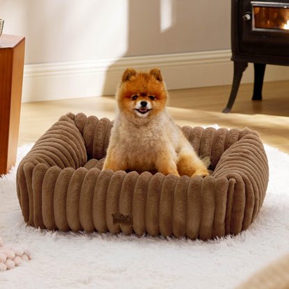 Bedsure ComfyFleece™ Cute Dog Bed for Small Medium Dogs - Washable Furry Puppy Beds, Rectangle Orthopedic Corduroy Fleece Pet Beds with Removable Zipper Cover, 25x21x7inches, Cream