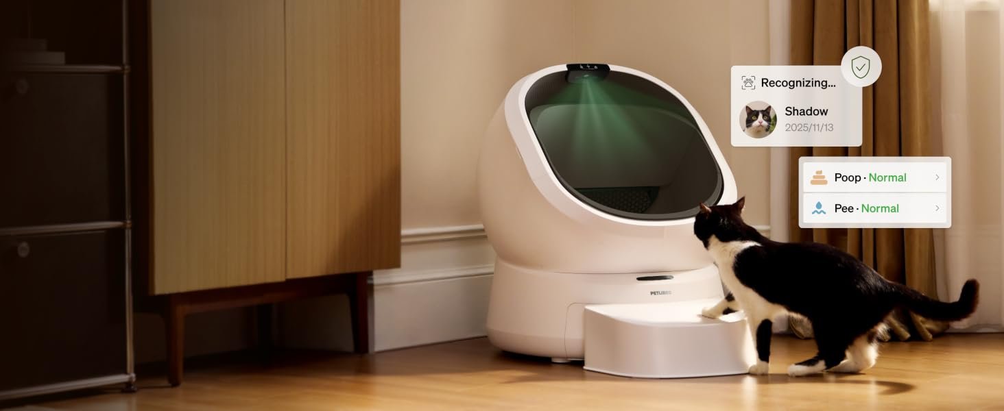 Automatic Litter Box
