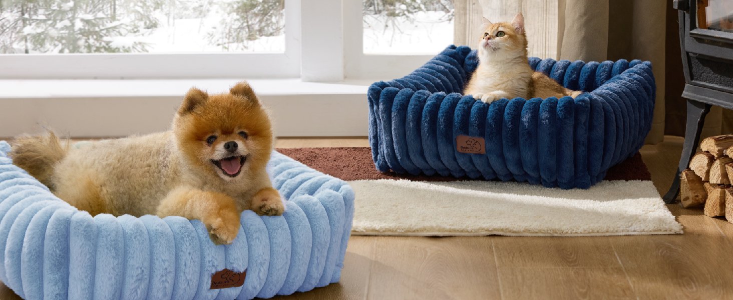 cute dog bed
