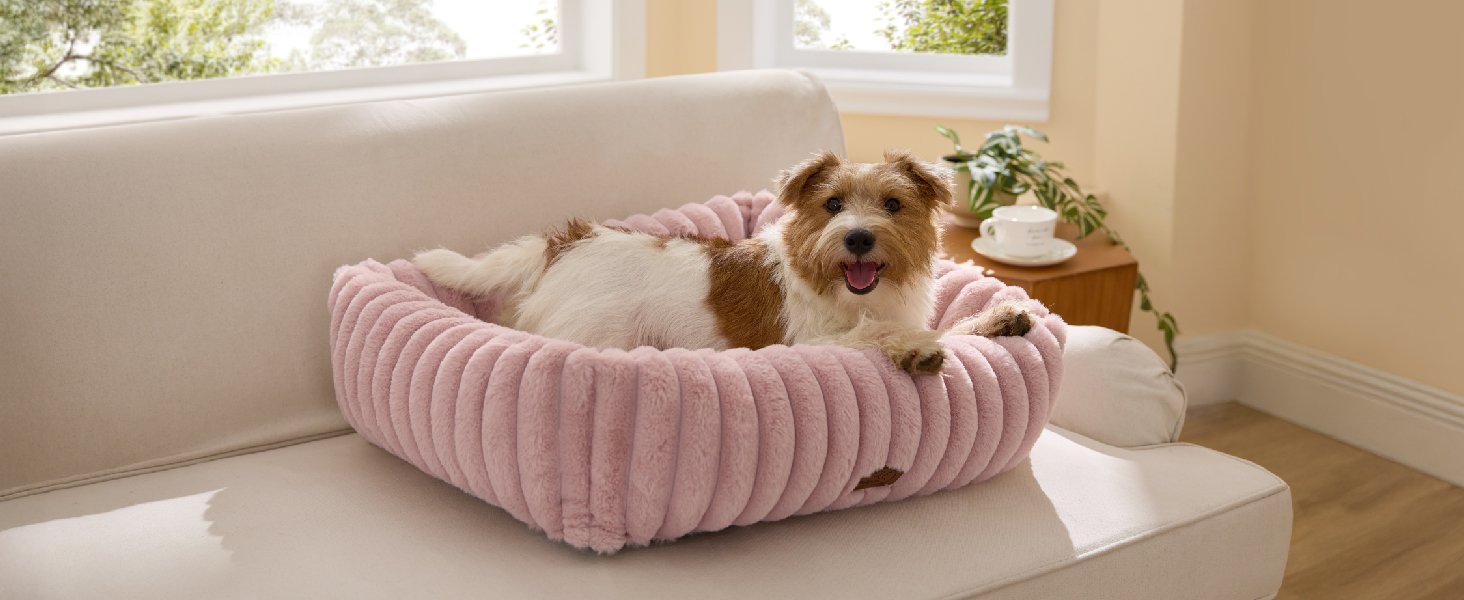 cute dog bed