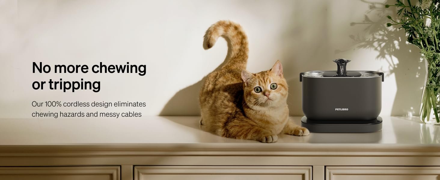 cat water fountain